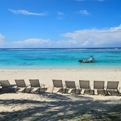 Nella U, 12.10.1981, Ташкент