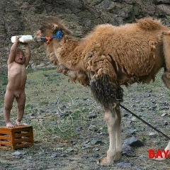 Олжас Мұзаппар, 27.07, Алматы