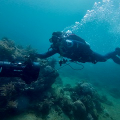 Кирилл Моргун