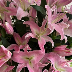 Ирина Юсуфова, 13.03.1987, Тверь