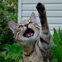 Дмитрий Марголин, 12.08.1989, Санкт-Петербург