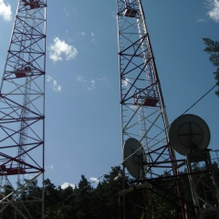 Ната Москвитина-Борзых