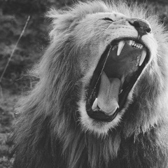 Асадула Алиев, 18.03.1992, Махачкала