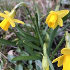 Маша Иванова, 03.03