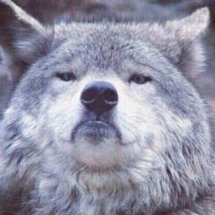 Изнаур Умаров, 14.03.2000