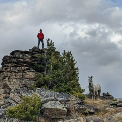 Alex Petrov, 09.05.1989, Москва