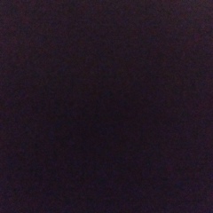 Дан Рабинович