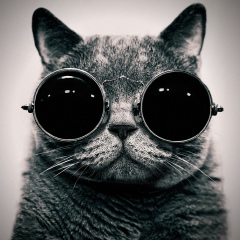 Алексей Шепелев, 17.02.1982, Курск