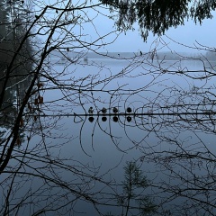 Александр Земсков, 26.01, Санкт-Петербург