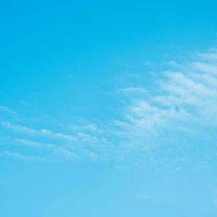 Наталья Мостовая, Киев