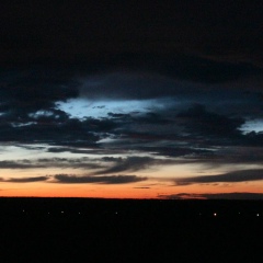 Елена Тихонова, 01.01.1995, Middletown