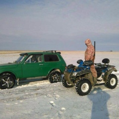 Иван Гоман, Texas