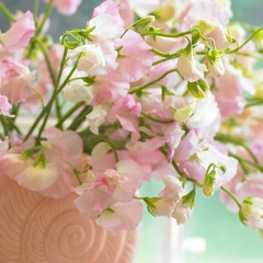 Екатерина Ковалёва, 10.05, Минск