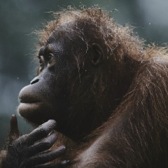 Александр Малашихин, 09.11.1991, Сарыагаш