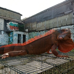 Cisitu Megadeath, 30.09.1914, Bandung