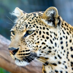 Марина Валерьева, 25.07.1993