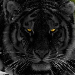 Фанис Ибрагимов, 10.07.1974, Уфа