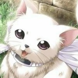 Ангелина Шевченко, 23.12, Санкт-Петербург