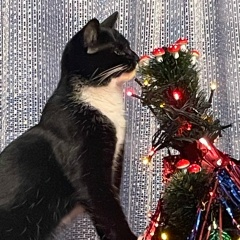 Валентина Никифорова, 17.03.1977, Санкт-Петербург