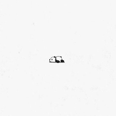 Максим Попов, 01.04.1993, Санкт-Петербург