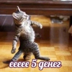 Александр Леонтьев, 12.06.1985, Боровичи