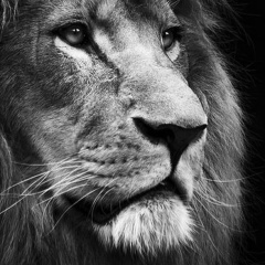 Руслан Кашаев, 16.05, Москва