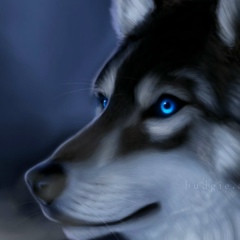 Александр Сазанаков, 18.06.1989, Абакан