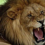 Виталий Гостев, 20.08.1984, Арциз