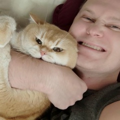 Роман Громов, Москва