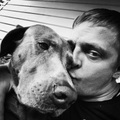 Андрей Магницкий, 31.05, Москва