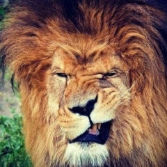 Алибек Нуркасымов, 10.03, Актобе