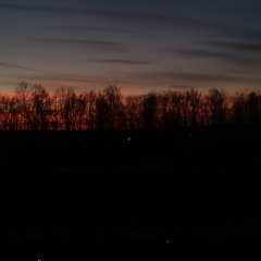 Саша Вишневецкий, Бишкек