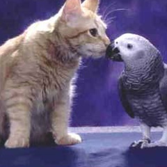 Настя Настя, 06.04.1989, Москва