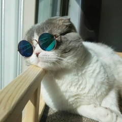 Зарина Ибраева, 26.02.1991, Астана