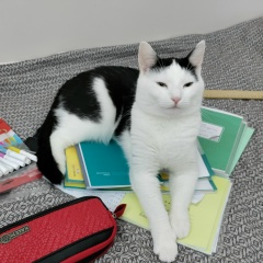 Константин Новиков, Москва