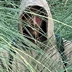 Сергей Славгородский, 21.11.1988, Севастополь