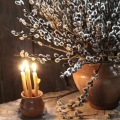 Сергей Кутузов, 24.08, Санкт-Петербург