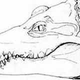 Сергей Кримец, 23.06, Киев