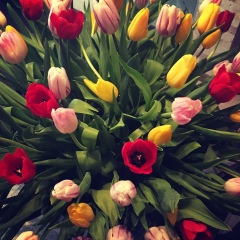 Руслана Иванова, 01.12.1987