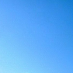 Всеволод Меркурьев, 01.06.1989, Санкт-Петербург