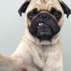 Алексей Демченко, 26.12.1985, Днепр (Днепропетровск)