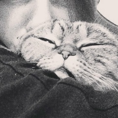Таня Дерзкая, 12.03, Москва