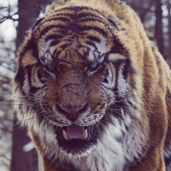 Aliya Utegilisheva, 07.02, Уральск