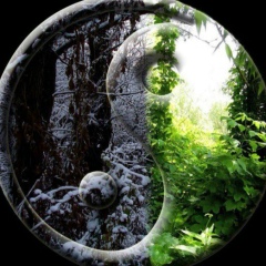 Алексей Кенин, Санкт-Петербург