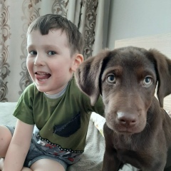 Сергей Нечепуренко, Санкт-Петербург