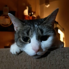 Таня Ледовская