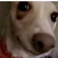 Bren Esc, 07.11.2001