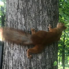 Артём Артём, 24.07.1988, Жлобин