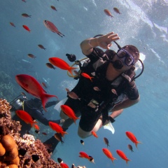 Дима Барсуков, 27.01, Донецк