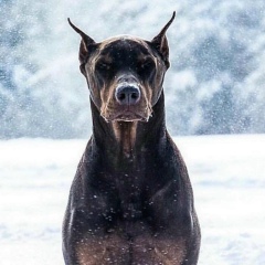 Мирас Муса, 13.05, Атырау